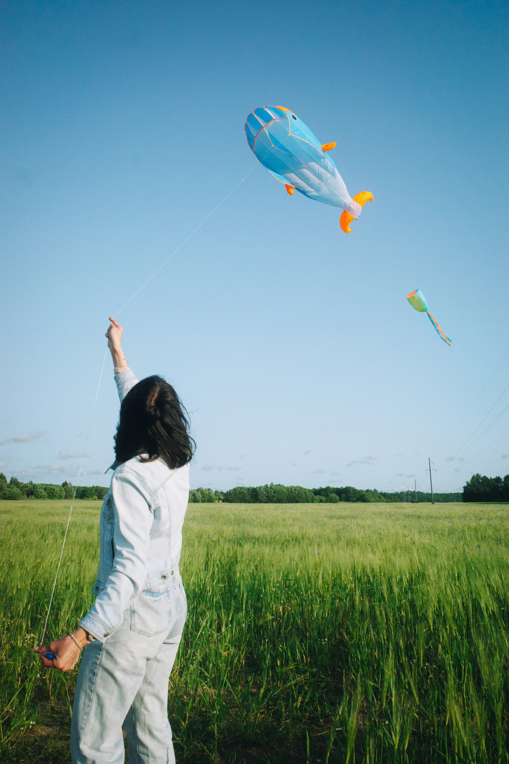 alexander-lunyov-vAQsbMwoLZY-unsplash person with dark hair flying a kite in an open field against a blue sky